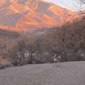Meet your Posher, Jonathan